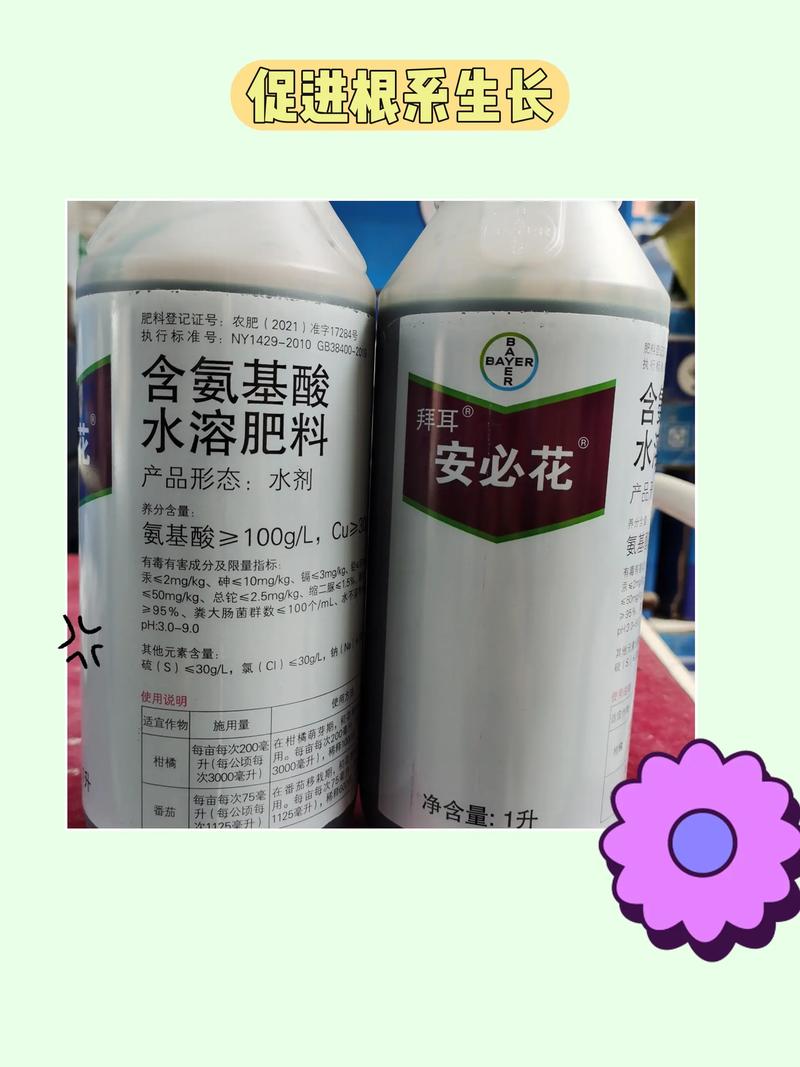 氨基酸粉：蛋白质营养的新选择