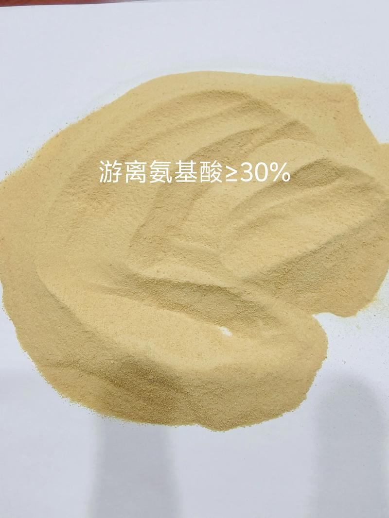 药用氨基酸：开启医药健康新时代
